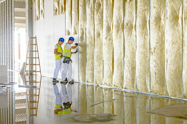 Best Types of Insulation in Lake Linden, MI